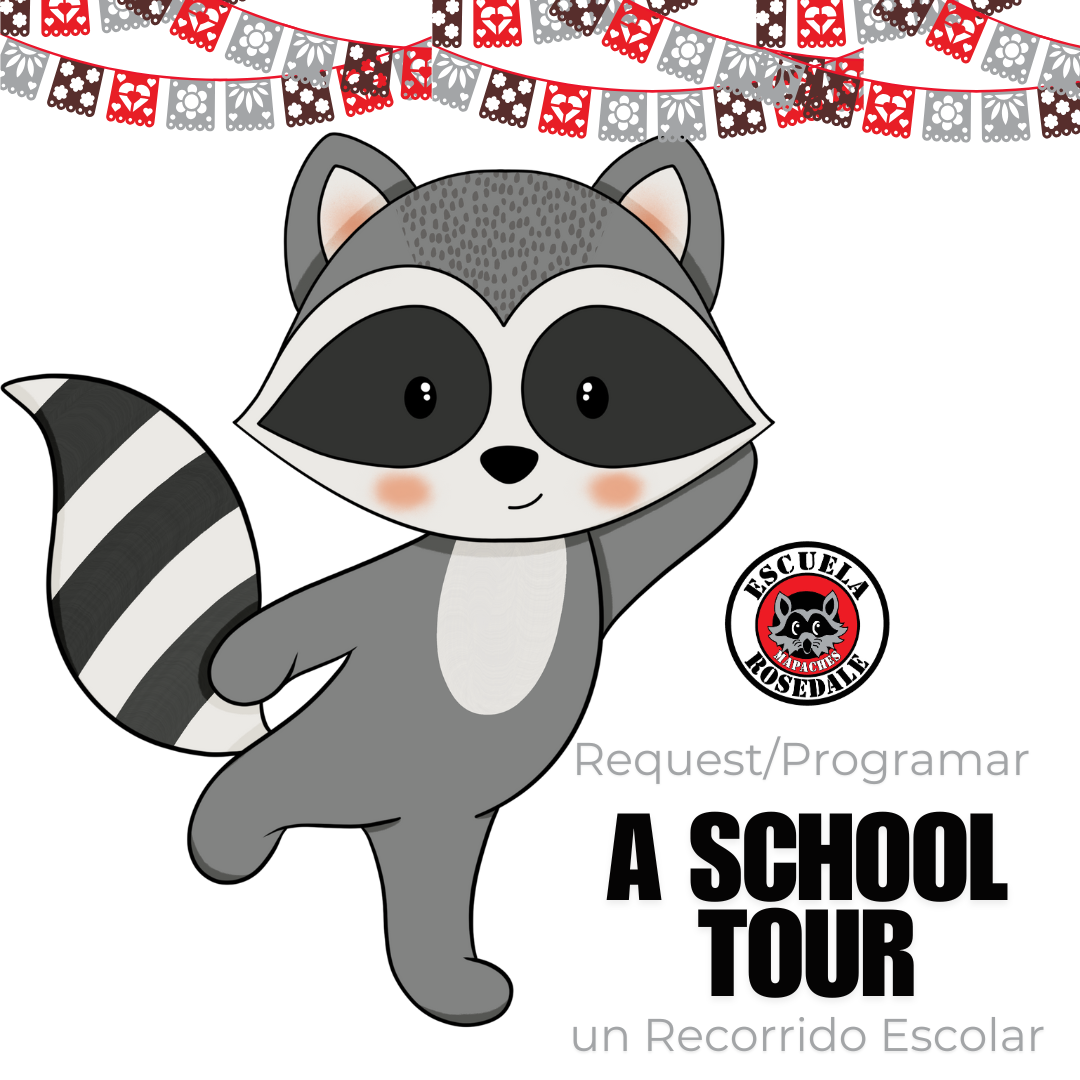 Cartoon Raccoon with 